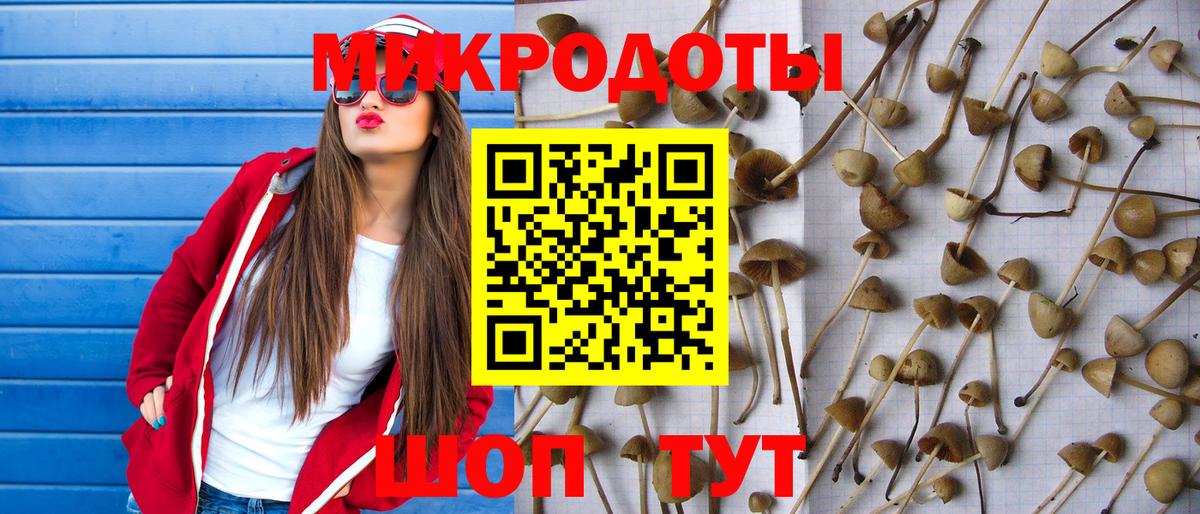 Псилоцибиновые грибы прущие грибы  Вход с VPN  купить наркотик  Галлюциногенные грибы Psilocybine cubensis  Баксан 