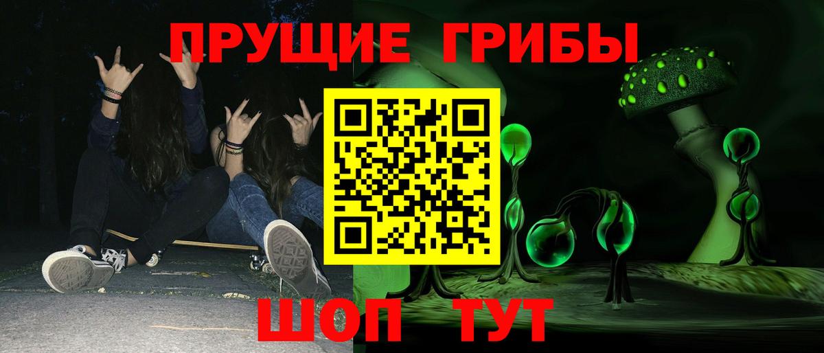 Псилоцибиновые грибы Cubensis Баксан